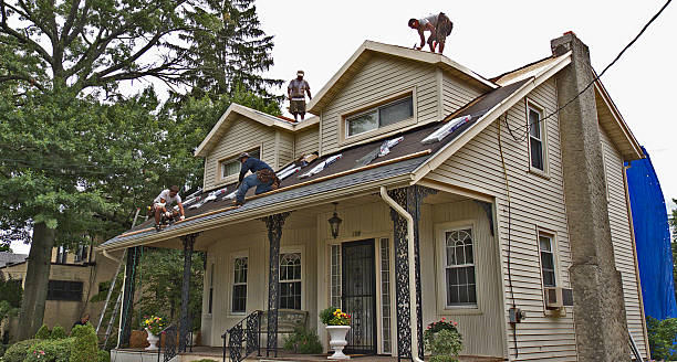 Roof Waterproofing Services in Pine Island, TX