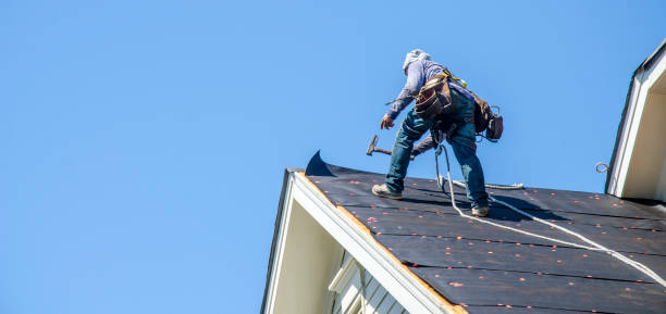 Professional Roofing Contractor in Pine Island, TX